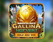 Immortal Ways Gallina Harvest